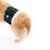 Protetor de Fralda p/ Cachorro Macho Pet Med N5 - Verde - O Cãoselheiro