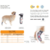 Polaina Protetora de Patas p/ Cachorro Pet Med Duo Dry N3 na internet