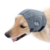Protetor de Orelha p/ Cachorro Pet Med Oto Protector Plus N5 - comprar online