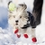 Sapatinho p/ Pet Cachorro Pawz Bota Vermelha Tam P - 4un na internet