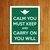 Placa Decorativa Carry On You Will