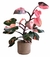 Philodendron Pink Princess - comprar online