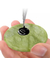 Pedra jade para adesivos para extensão de cílios - comprar online