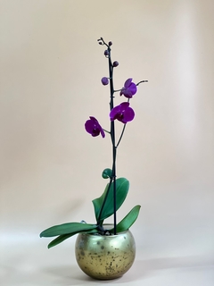 Planta de orquídea en base de vidrio. - comprar online