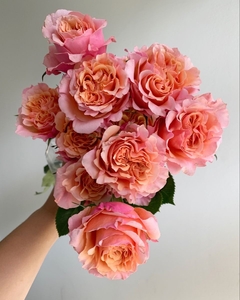 Bouquet de 12 rosas de Jardin