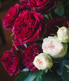 Bouquet de 20 rosas de jardin en internet