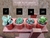 Imagen de Pack de cactus y suculentas a elección