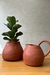 Vasos Terracota - comprar online