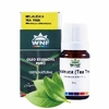 Óleo essencial de Melaleuca (Tea Tree) 5 ml | Para desodorantes e perfumes