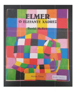 O Livro Elmer o Elefante Xadrez