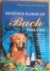 LIVRO, REMÉDIOS FLORAIS DE BACH PARA CÃES, MARTIN J. SCOTT, GAEL MARIANI