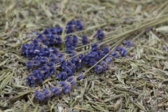 Lavanda flor