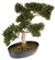 Nearly Natural® Bonsái Decorativo de Seda Cedar - comprar en línea