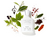 Creed® Silver Mountain Water Eau de Parfum Spray 1.7 oz, 50 ml - Styla