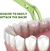 Plackers® Back Teeth Micro Mint Dental Floss Picks - 75 unidades (Paquete de 1) - comprar en línea