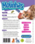 Molinhas Para Gatos - comprar online