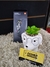SmartWatch Xiaomi Mi Smart Band 7 - comprar online