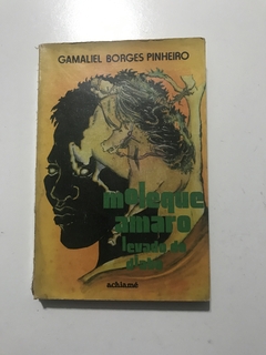 PINHEIRO, Gamaliel Borges. Moleque Amaro levado do diabo