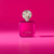 Perfume Fucsia by Shakira Eau de Parfum Feminino na internet