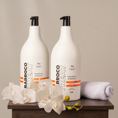 Shampoo Barroco Mineiro Treat Mandioca e Biotina 2,5L - comprar online