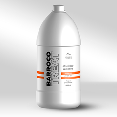 Shampoo Barroco Mineiro Treat Mandioca e Biotina 5L - comprar online