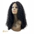 LACE FRONT - SOFIA (BLACK BEAUTY - 480g) Cacheada/afro, fibra Orgânica e similar ao cabelo natural - 60 Cm - comprar online