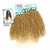 Imagem do Cabelo Bio Vegetal Cacheado Entrelace 75 Cm Modelo Kimi Sleek 320Gr