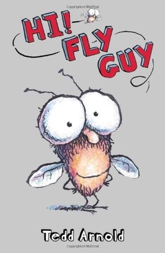 Hi! Fly guy