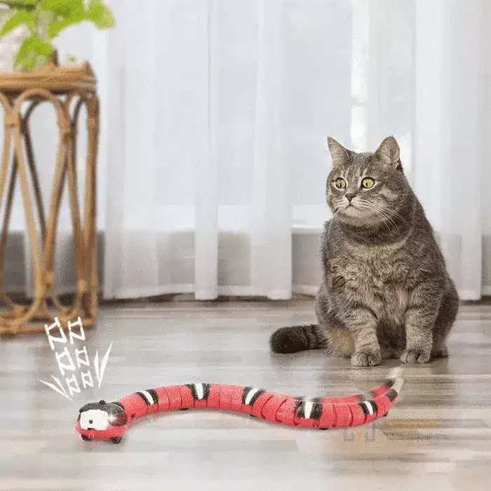 Brinquedos inteligentes do gato que detectam o jogo eletrônico automático  interativo do gato da serpente que teasering brinquedos do gatinho  recarregável de usb para gatos cães pet - AliExpress