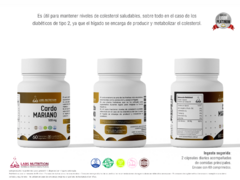 Cardo Mariano 500 mg - Protector Hepatico (60 capsulas) en internet