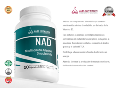 NAD - Nicotinamida Adenina Dinucleótido (60 capsulas) - comprar online