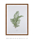 Quadro Coleção Plantas: Areca Bambu - comprar online
