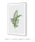 Quadro Coleção Plantas: Areca Bambu - Emoldurei Store