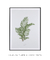 Quadro Coleção Plantas: Areca Bambu - Emoldurei Store