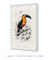 Quadro Toucan illustrated by Charles Dessalines - loja online