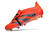 Chuteira Adidas Predator Elite 1 Campo Unissex Cano Baixo - Elite / LARANJA - loja online