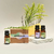 Set de Aceites Herbales Aromaterapia - Sahumar - comprar online