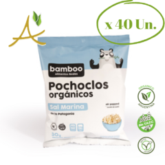 Caja x 20 unidades (80g.) o 40 unidades (40g.) Pochoclos Orgánicos Sal Marina - Bamboo - comprar online