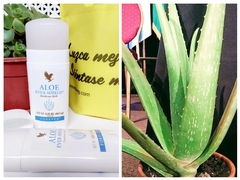 DESODORANTE EN BARRA DE ALOE VERA (Aloe Ever-Shield) - Productos de aloe vera Forever Living Argentina