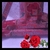 Imagem do Kit Incenso Natural Índia Brasil Rosa Vermelha - Atrai Paixão Sensualidade e Sexualidade 15 Caixas com 8 Varetas Cada