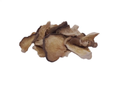 Hongos (pleurotus Oyster) Girgolas Deshidratadas x 250g