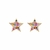 Brinco Estrela com Zircônias Multi-color Folheado a Ouro 18k