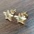 Brinco Estrela com Zircônias Multi-color Folheado a Ouro 18k - comprar online