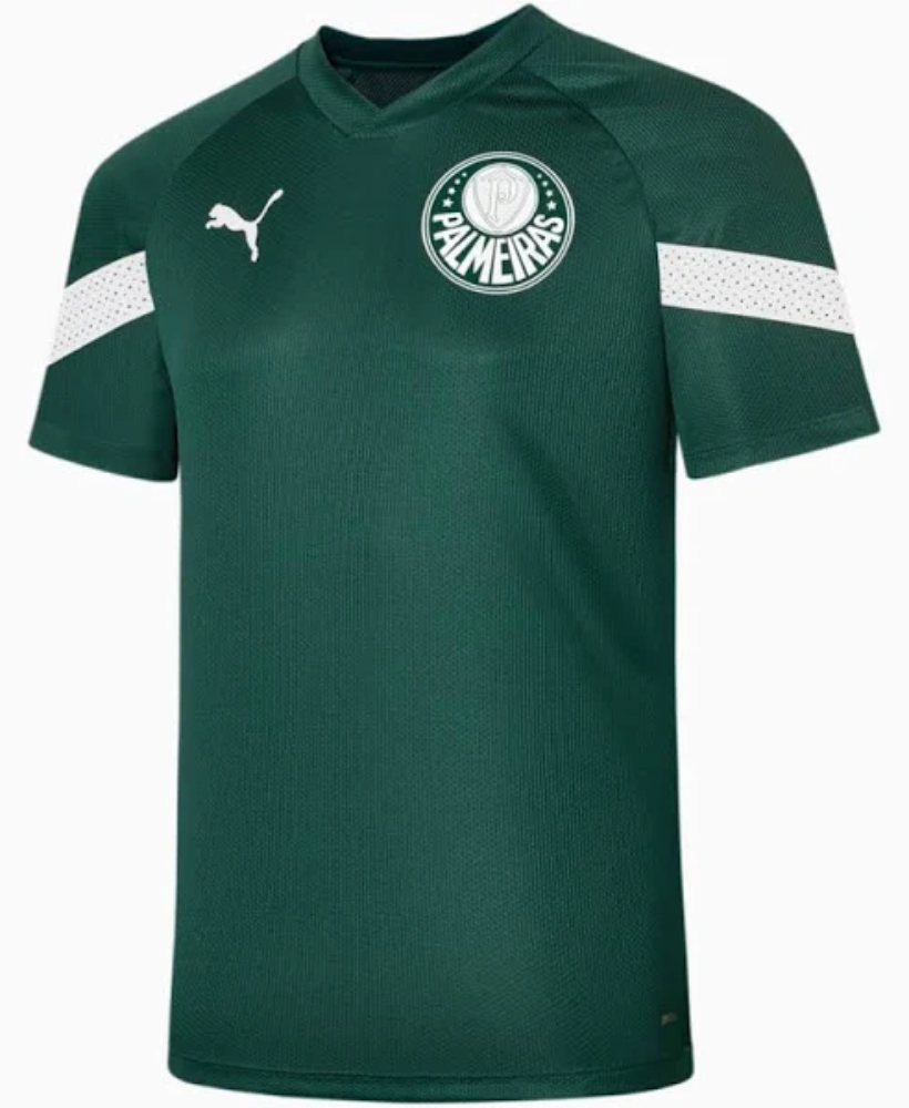 Camisa goleiro hotsell treino palmeiras puma