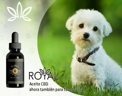 Aceite Royal PET CBD - Para Perros y Gatos 10ml 125mg en internet