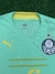 Camisa Palmeiras Third 22/23 Torcedor Puma Masculina - Verde Esmeralda - loja online