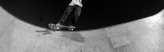 Banner da categoria SKATE PROFISSIONAL