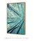 Quadro Decorativo Árvore Céu Azul 2 - comprar online