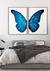 Quadro Decorativo Asa de Borboleta Azul Esquerda - Quadros Incríveis