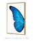 Quadro Decorativo Asa de Borboleta Azul Direita - comprar online